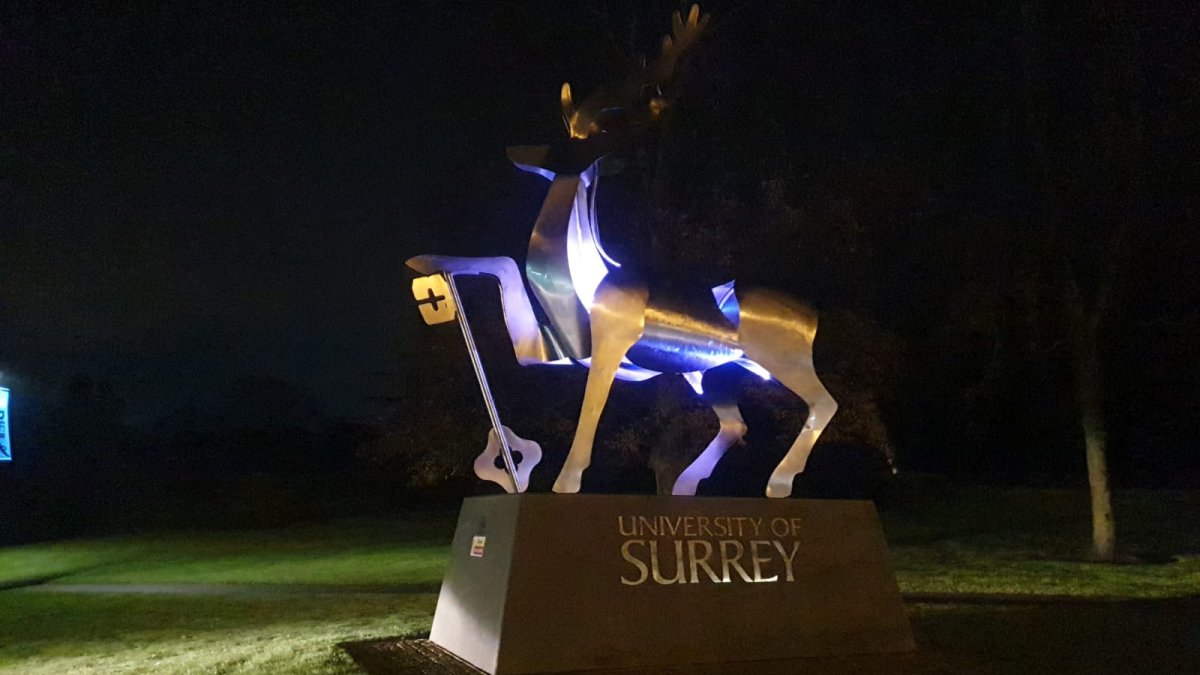 Stag Hill statue lit up in purple