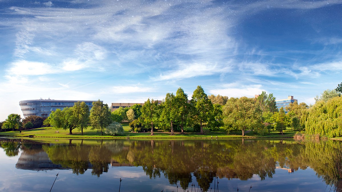 Stag Hill lake