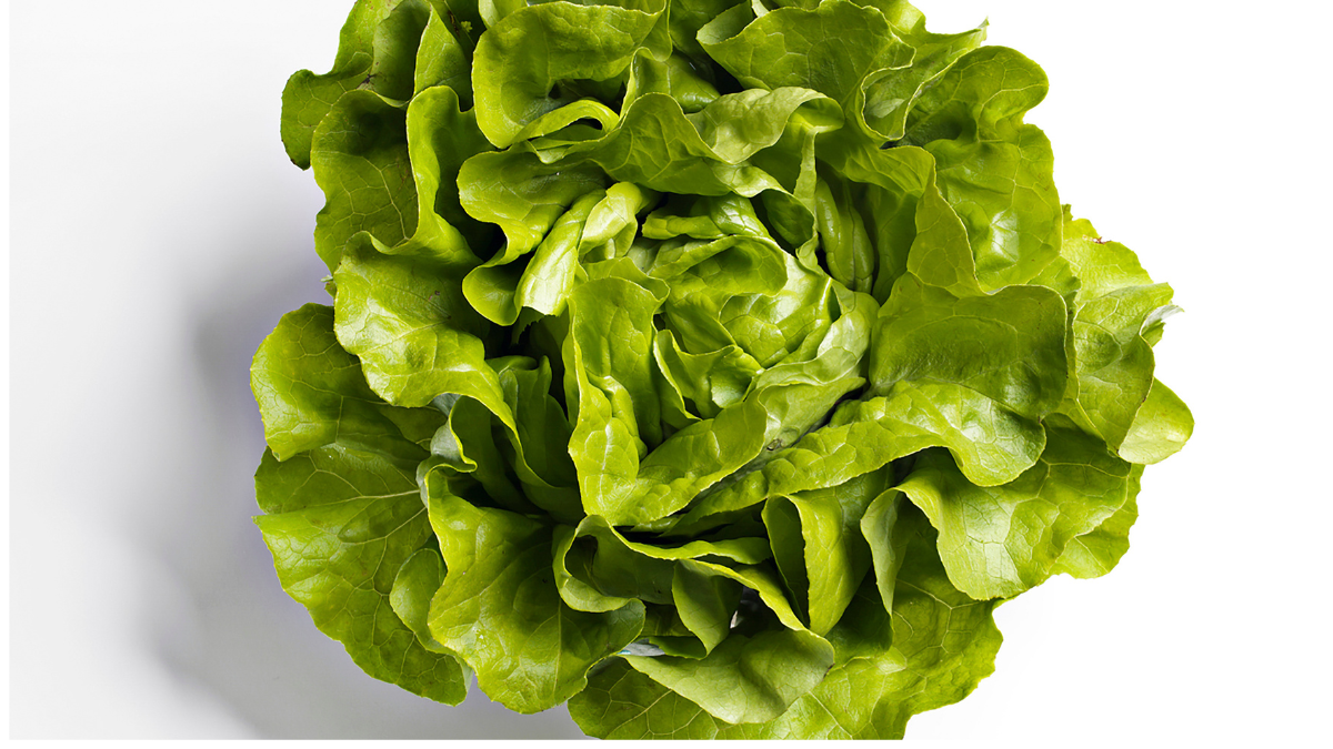 Lettuce GETTY