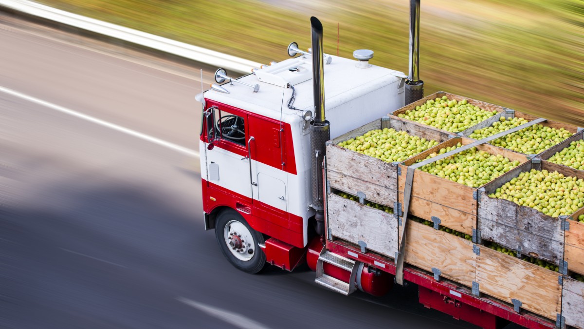 A lorry drives large crates of apples along a road