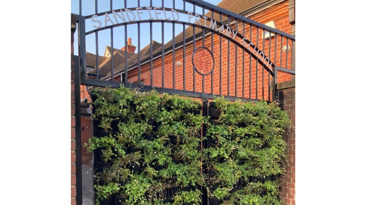 A green gate with pouched screens with plants growing. Above, metalwork says "Sandfield Primary School"