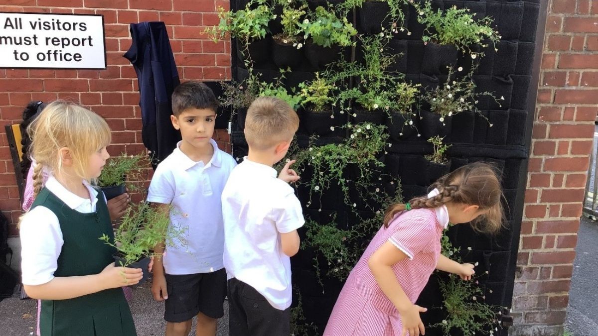 Four primary-aged children in school uniform insert plants into a pouched screen