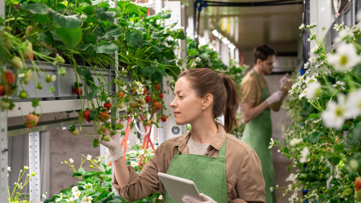 vertical_farming