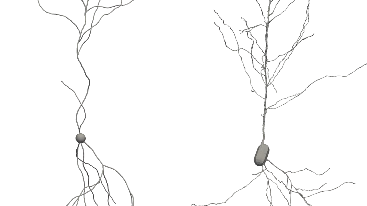 University of Surrey simulation paves the way for future disease treatments