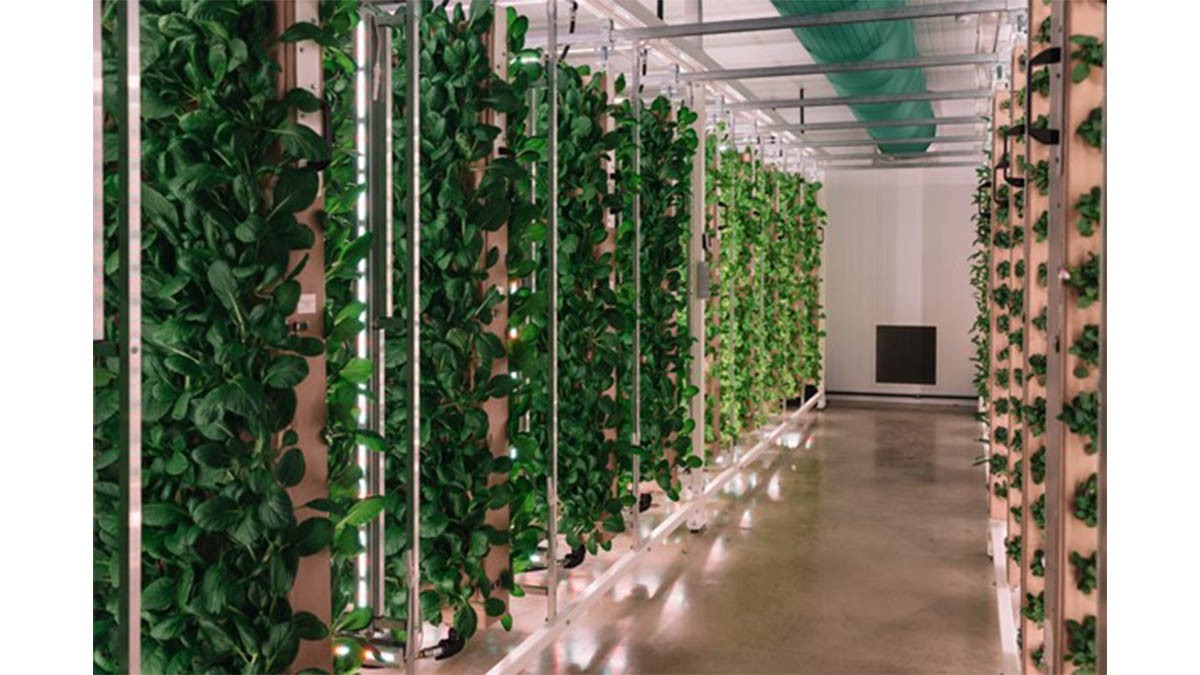 Innovation Agritech Group