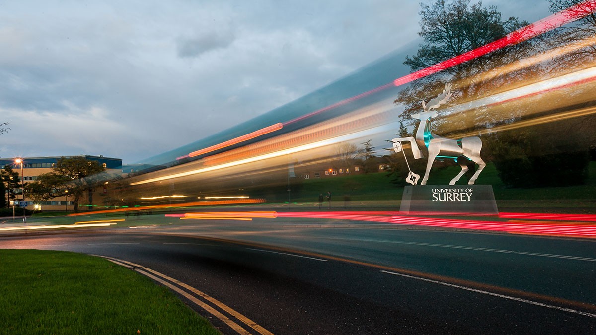 Stag statue at night