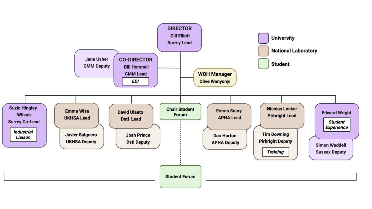 Organizational chart for the WOH Management Committee showing leadership at the top (Director, Co-Director, Deputy, Manager), with university roles in purple and national laboratory roles in tan. Below them is a row of section leads and deputies from Surrey, UKHSA, Dstl, APHA, Pirbright, and Sussex. A green Student Forum box connects to a Chair Student Forum. Some roles include notes such as Industrial Liaison, Training, or Student Experience