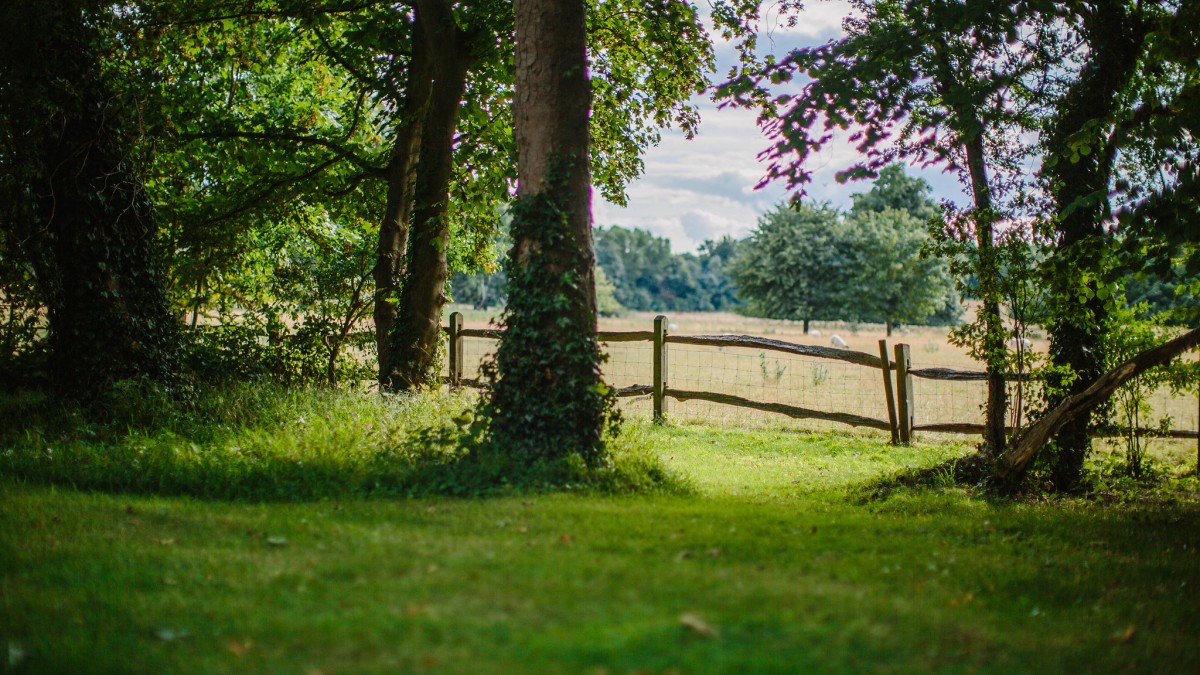 West Horsley Place Estate