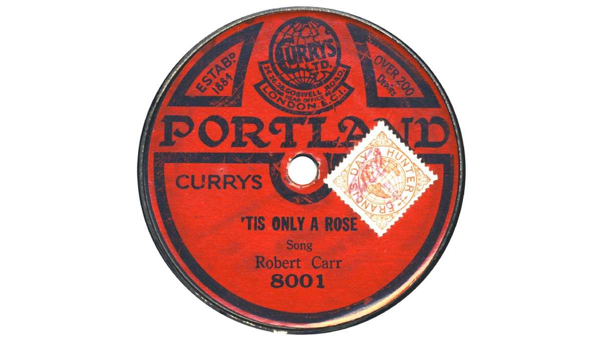 Portland (Currys) 'Tis only a Rose' - Robert Carr 8001