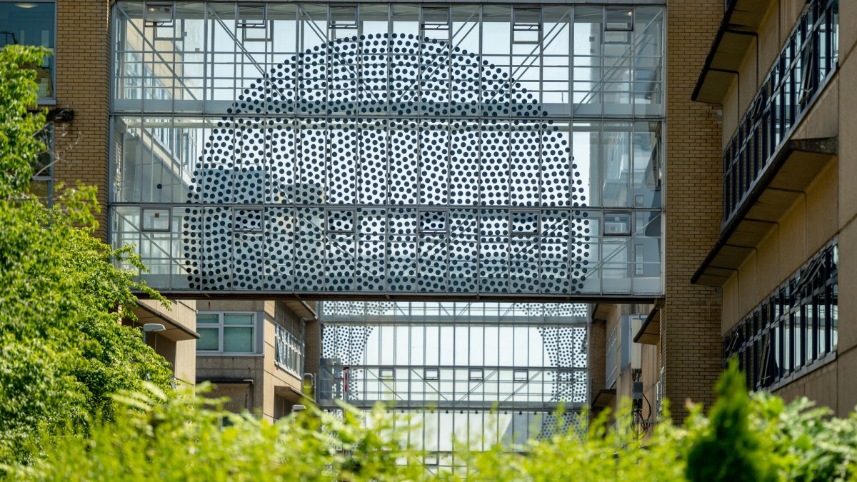 Sculpture bridge on campus