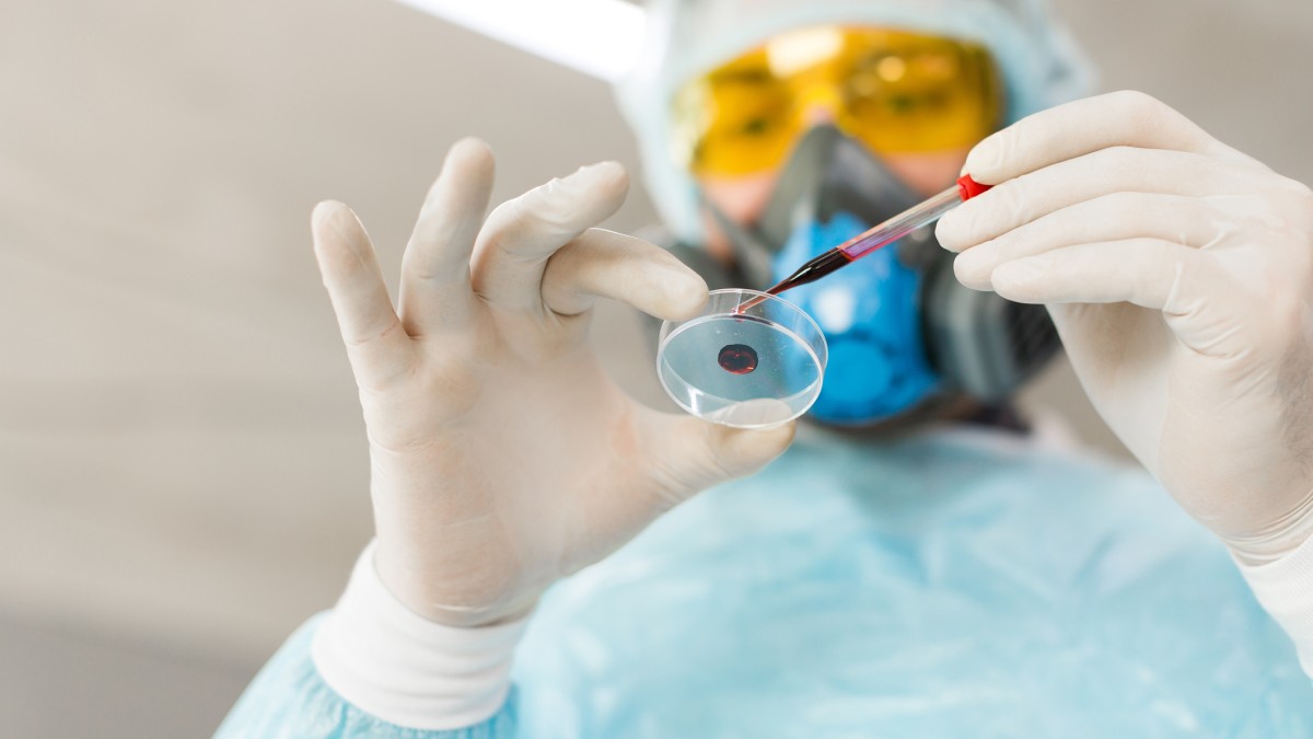 Researcher in a lab dripping a blood sample in a Petri dish