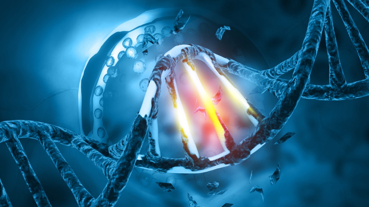 DNA with bright segments in the strands