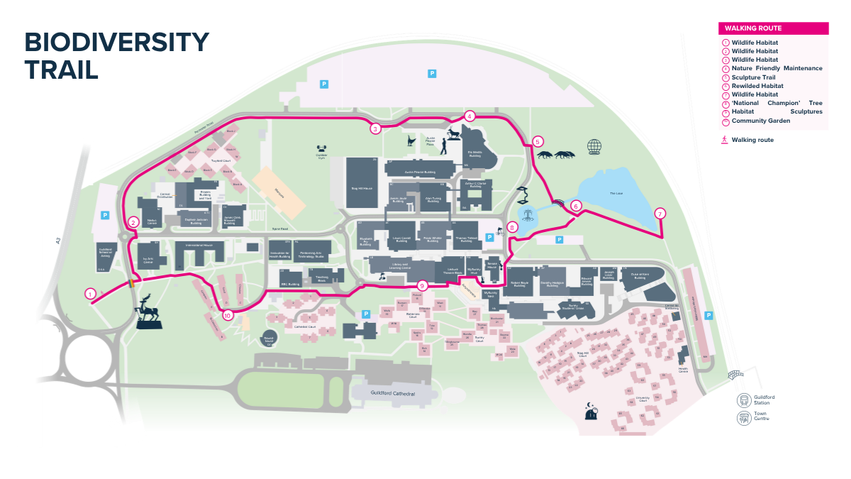Map of University biodiversity trail