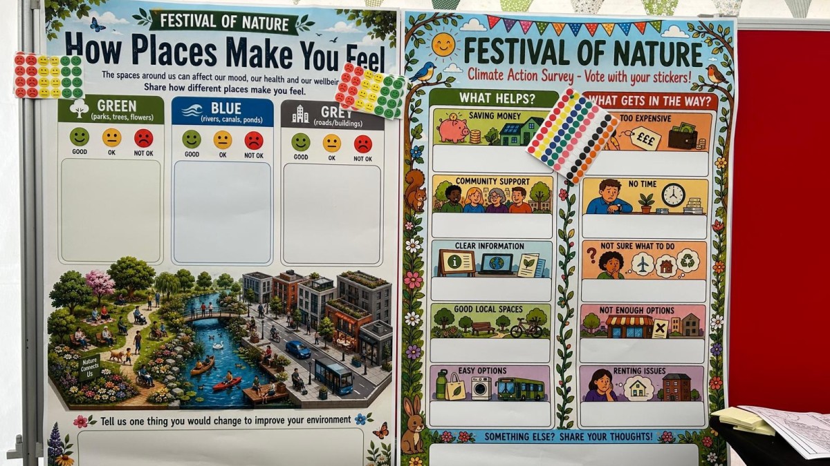 Fesstival