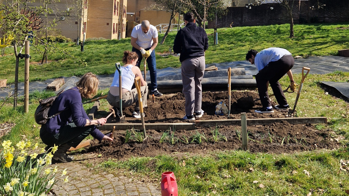 Staff and students digging at the community garden