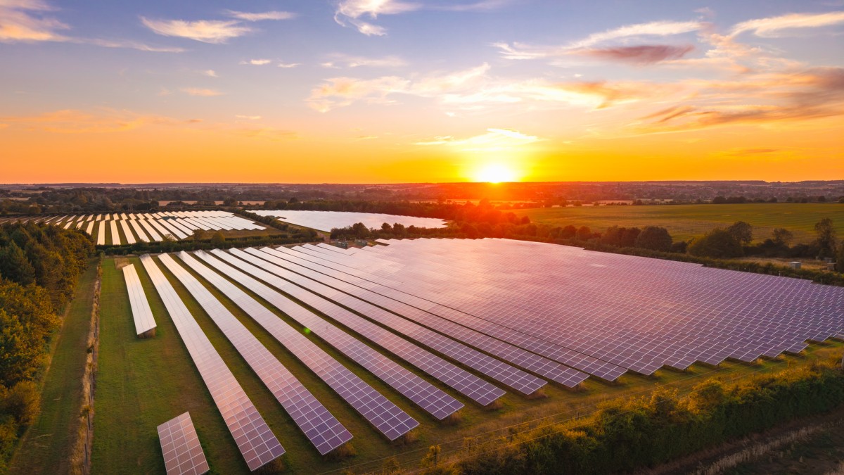 Solar panels on a farm field at sunset 