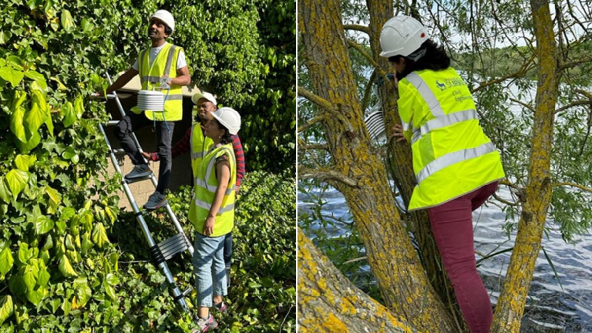 workers installing sensors up trees during the study