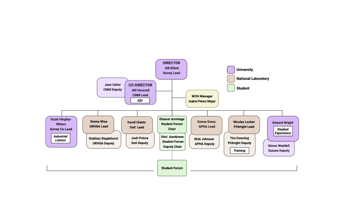 Organisational chart for the WOH Management Committee. Gill Elliott (Surrey Lead) is Director at the top. Reporting below are Bill Horsnell (CMM Lead, EDI Co-Director) with Jane Usher (CMM Deputy), and Isabel Pérez Major (WOH Manager). Committee members include Surrey, UKHSA, Dstl, APHA, Pirbright and Sussex representatives, each with lead and deputy roles where applicable, plus the Student Forum Chair and Deputy Chair. A Student Forum sits below the committee