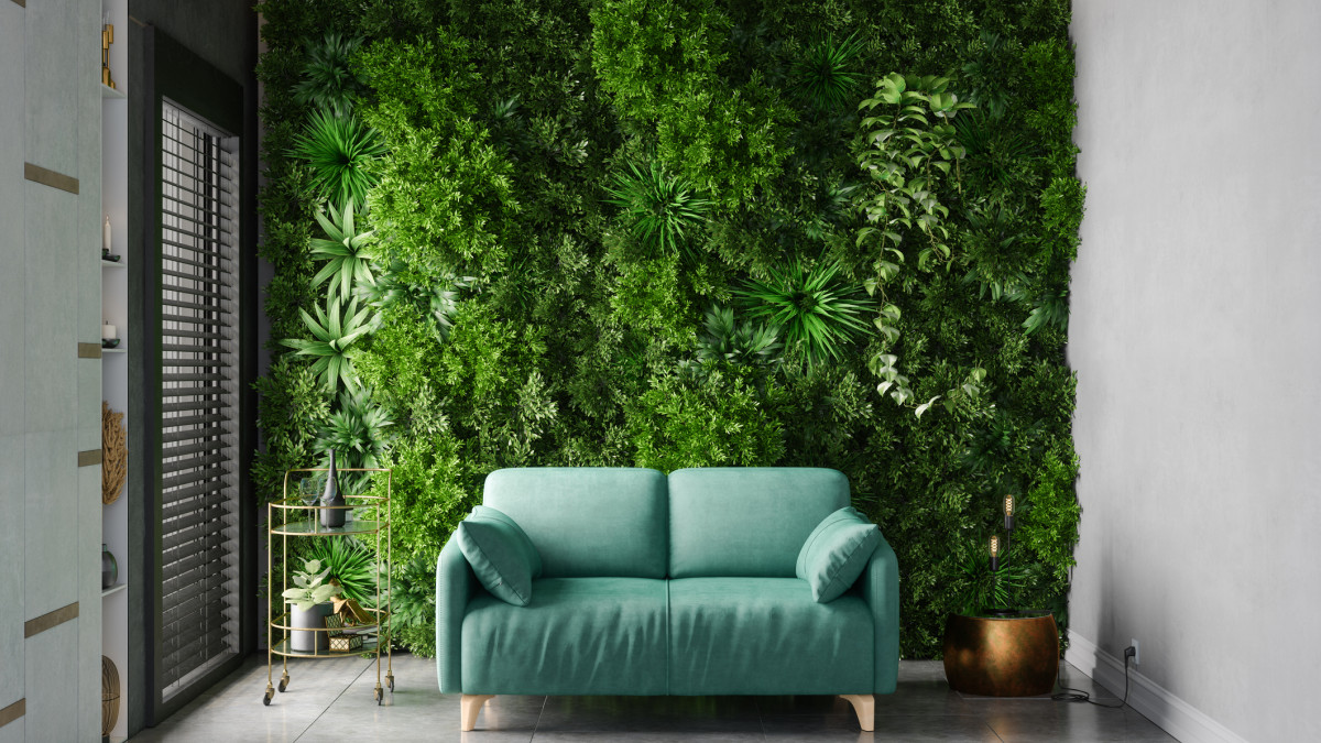 Turquoise colour sofa in front of a wall of plants 