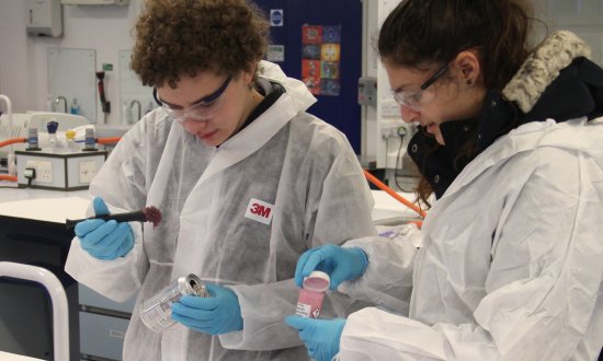 Students in lab
