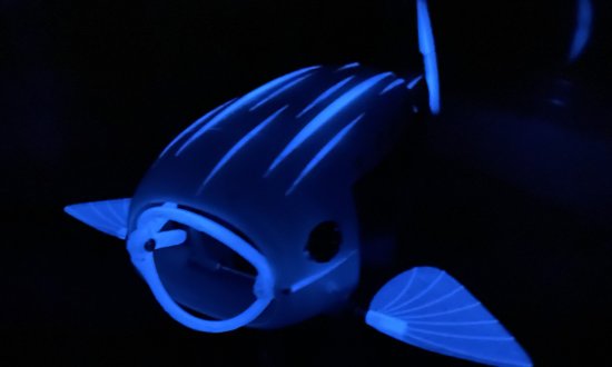 Robotics researchers turn the public's ideas into 'robo-fish