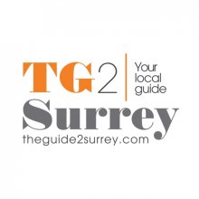 TG2 logo