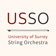 String Orchestra