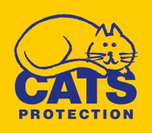 Cats Protection