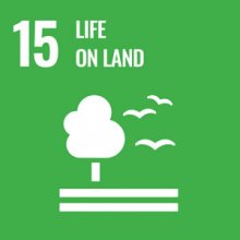 UN Sustainable Development Goal 15 logo, life on land.