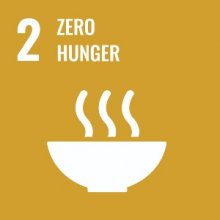 Zero hunger UN Sustainable Development Goal 2 logo