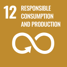 sustainable-development-goal-12 image