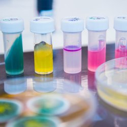 Test tubes and petri dishes in laboratory