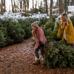 Mother and daughter choosing their Christmas tree