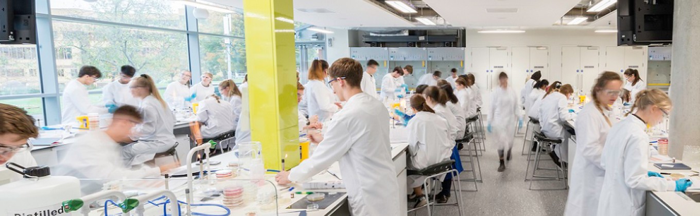Students in the Innovation for Health laboratory 