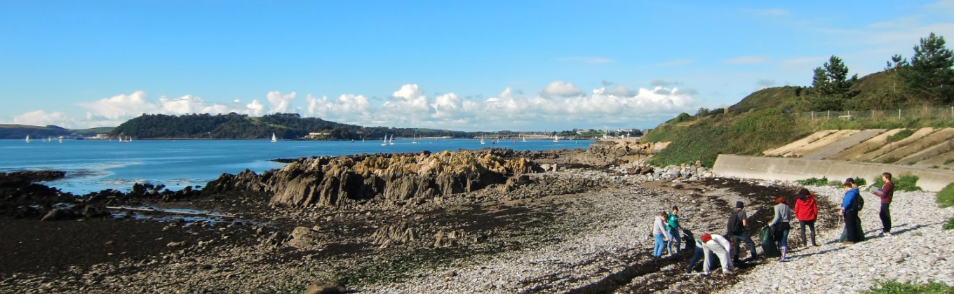 Students doing beach clean