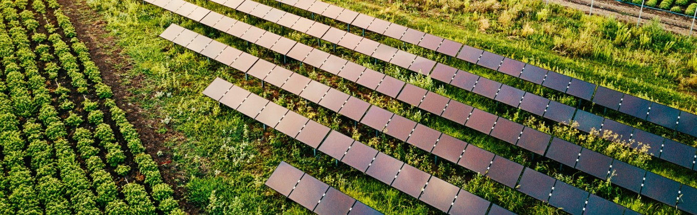 Grass field with solar panels