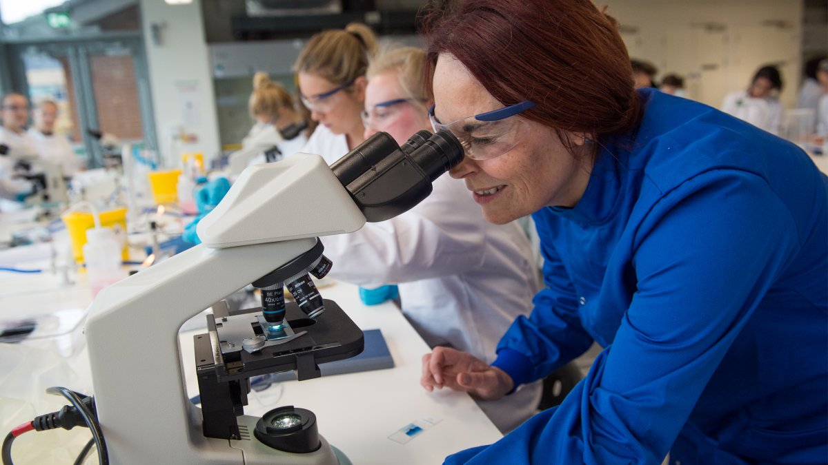 Person looking through microscope