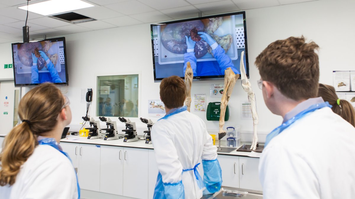 Students looking at TV screen watching a practical session