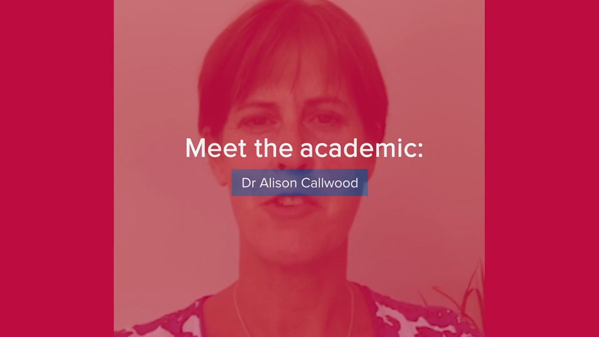 Screenshot of text that reads: 'Meet the academic: Dr Alison Callwood'