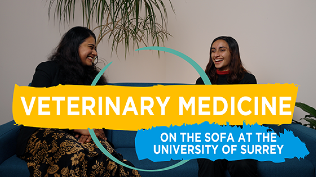 Lecturer interviewed on sofa