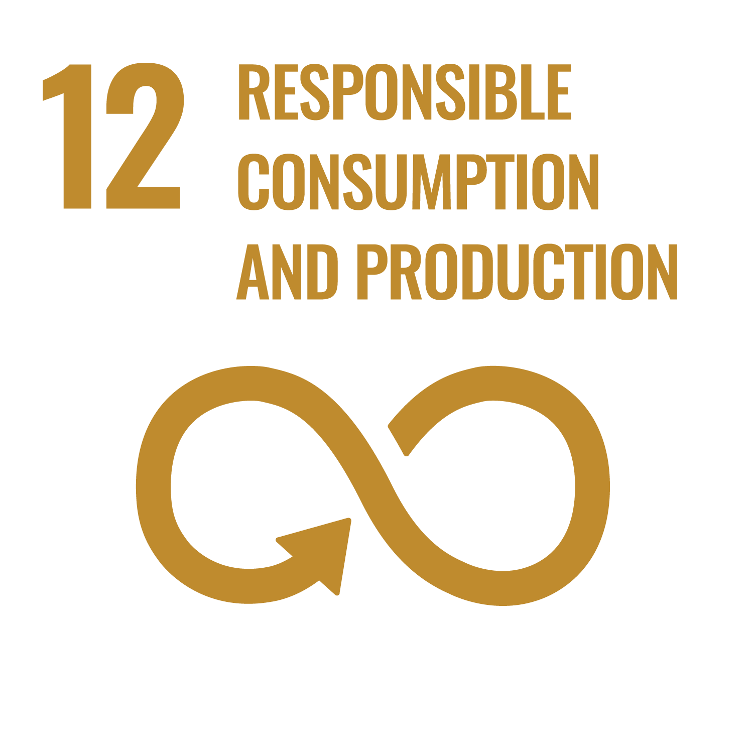 Image for Responsible Consumption and Production Sustainable Development Goal